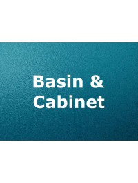 Basin & Cabinet (25)