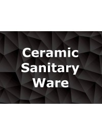 Ceramic Sanitary Ware (11)